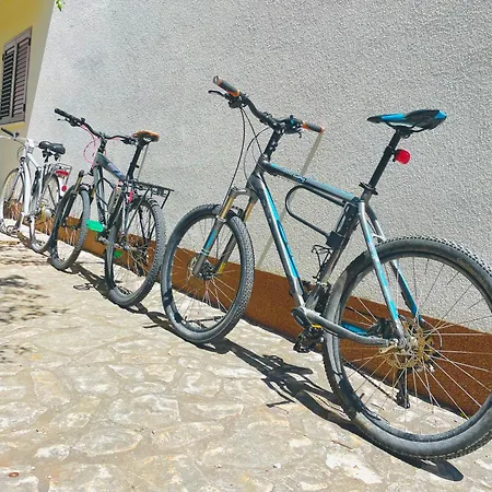 Happy 布罗达里卡